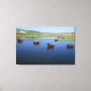 Search for swallow posters Outdoors