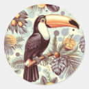 Search for toucan stickers Jungle