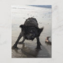 Search for blurred postcards Outdoors