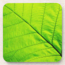 Search for green leaf coasters Macro