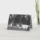 Search for edwardian cards Vintage