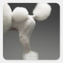 Search for rear view stickers Dog