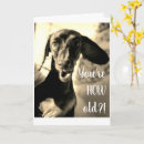 Search for dachsie cards Cute