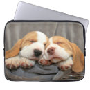 Search for beagle photo cases Pet