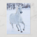 Search for horse running postcards Winter