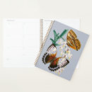 Search for butterflies planners Illustration