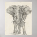 Search for elephant kids posters Zoo