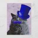 Search for blue cats postcards Grey cat