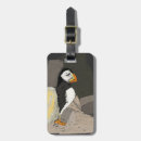 Search for puffin rock Bird