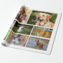 Search for pet photo wrapping paper Birthday