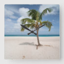 Search for caribbean clocks Antilles