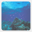 Search for barrier stickers Coral