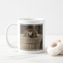 Search for baby hedgehog mugs Nature
