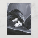 Search for border collie postcards Pet