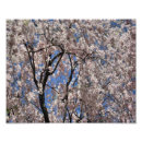 Search for 11x14 posters Pink