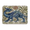 Search for morgans magnets De
