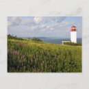 Search for maritimes postcards New brunswick