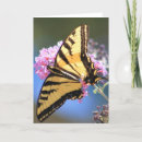 Search for featuring cards Nature