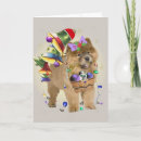 Search for cute chow chow cards Funny