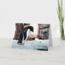 Search for snowball fight christmas cards Winter