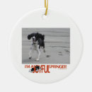 Search for springer spaniel christmas tree decorations English