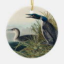 Search for audubon birds christmas tree decorations Birds of america