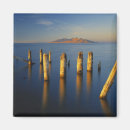 Search for scott magnets Large format