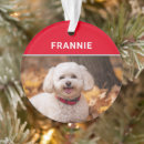 Search for bichon frise christmas tree decorations Pets