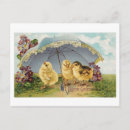 Search for happy chicken postcards Flowers