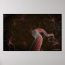 Search for rendered posters Colour