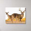 Search for does canvas prints Autumn