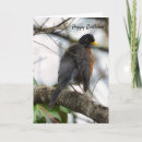 Search for winged cards Beautiful