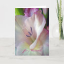Search for photographers birthday cards Floral