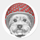 Search for vintage helmet stickers Aviation