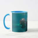 Search for manatees mugs Ocean