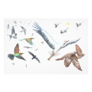 Search for bird migration posters Wildlife