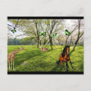 Search for giraffe postcards Trees