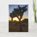 Search for joshua tree cards Sunset