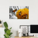 Search for pollinator posters Pollen