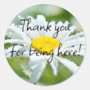 Search for chamomile flowers stickers Daisy