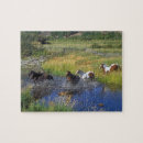 Search for wild horse puzzles Nature
