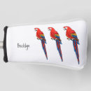 Search for macaw golf equipment Pet