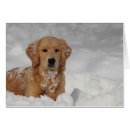Search for puppy face postcards Snow