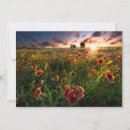 Search for texas thank you cards Landscape
