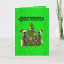 Search for meerkat cards Celebration