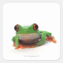Search for cold blooded stickers Amphibian