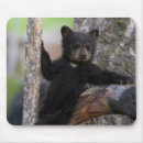 Search for ken mousepads Montana