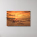 Search for seashell pictures canvas prints Ocean