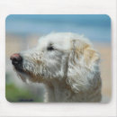 Search for mixes mousepads Pet