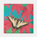 Search for gerber daisies magnets Orange